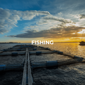 fishing-min